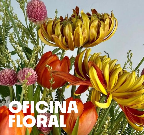 Ingresso Oficina Floral - 05/07/2025 (15:30)
