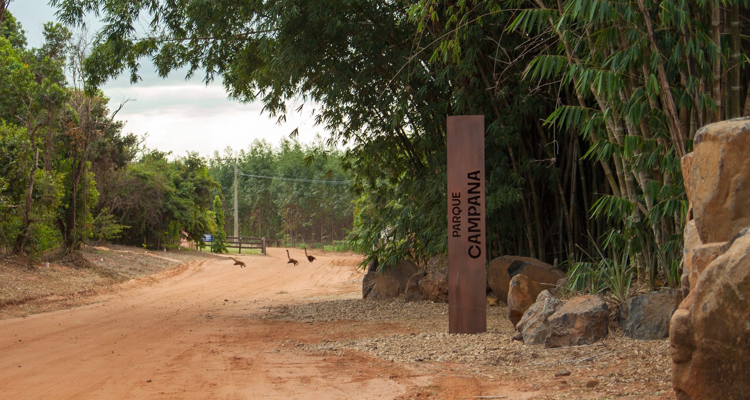 Vista da entrada do Parque Campana